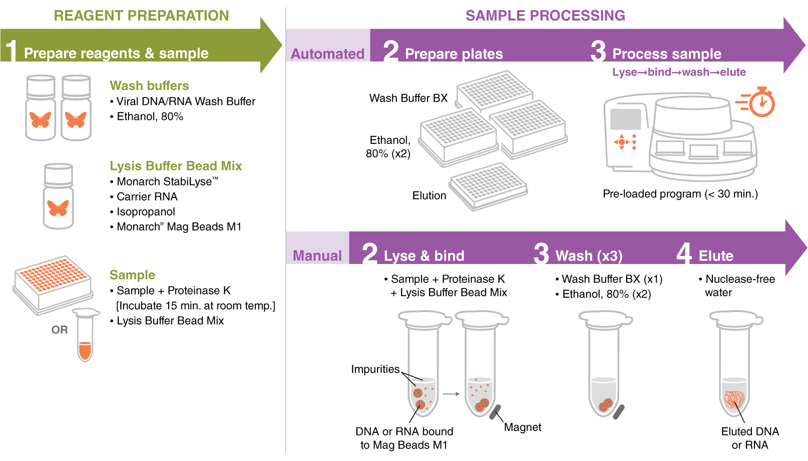 NEB Monarch® Mag Viral DNA/RNA Extraction Kit (T4010) – Kinovett Scientific